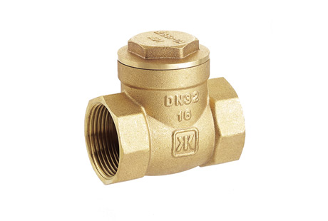 One-Way Brass Valves: The Key to Preventing Backflow Issues